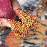 9578ed8e-583d-4c0c-8b63-859d0ac73927