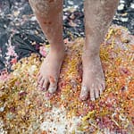 ff3daa4f-7dbd-481c-a196-f858ffa03af6